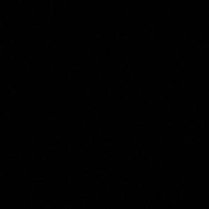 Meet your Posher, Carmela